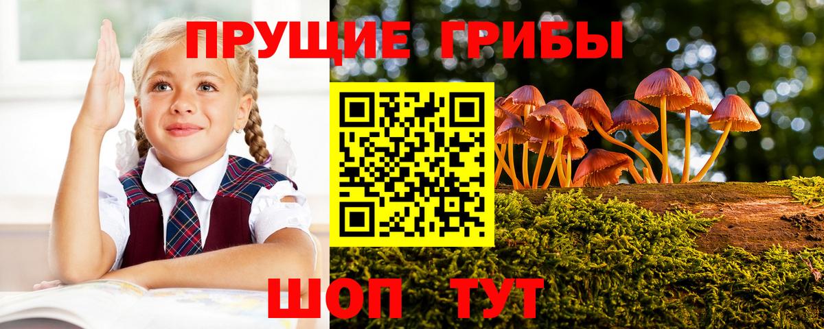 Псилоцибиновые грибы Psilocybine cubensis  Вход с VPN  Пенза  Псилоцибиновые грибы Magic Shrooms 